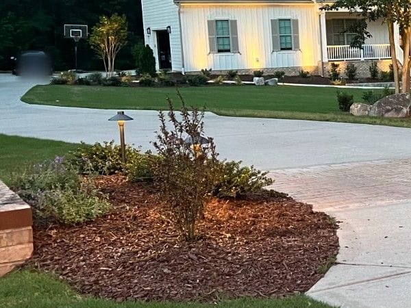 Solid brass path light glowing over a mulch bed beside a driveway at dusk in Wake County